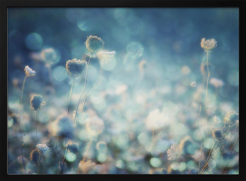 Timantit | Julisteet - Taidevedokset