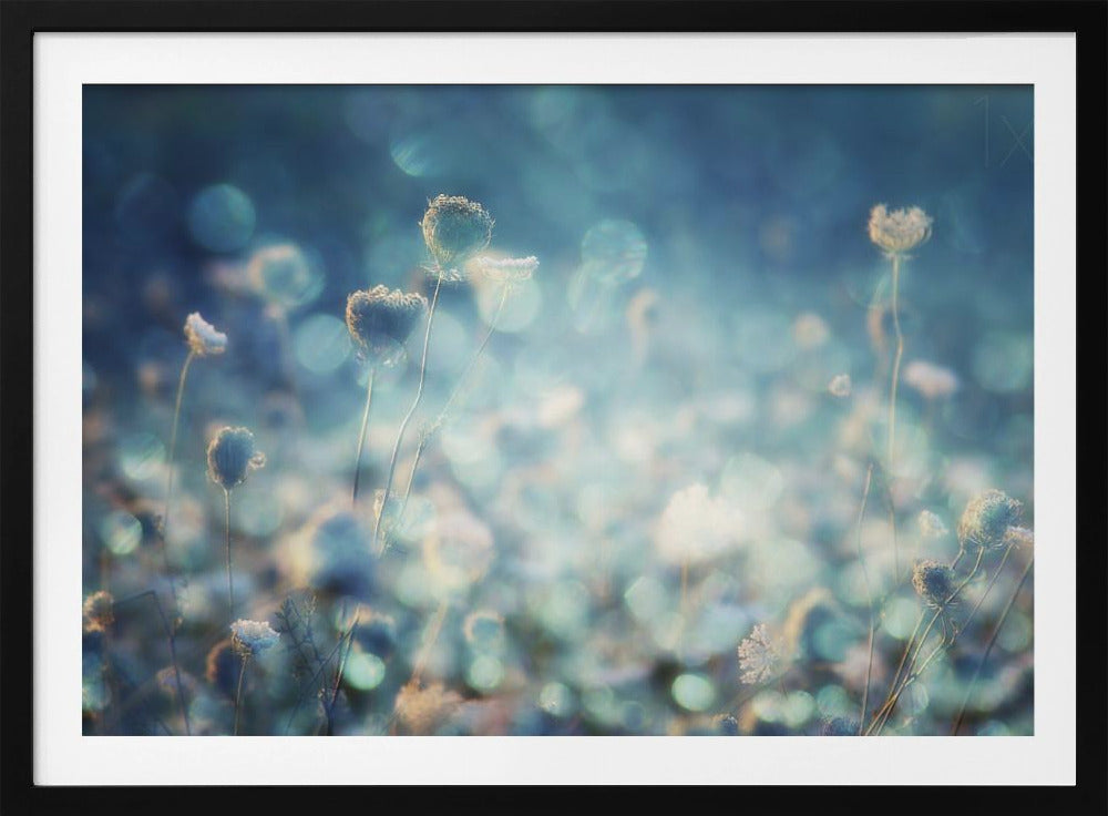 Timantit | Julisteet - Taidevedokset