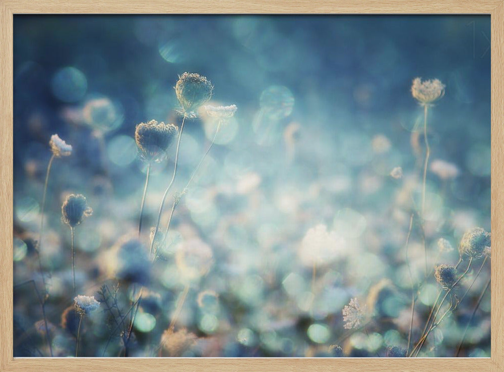 Timantit | Julisteet - Taidevedokset