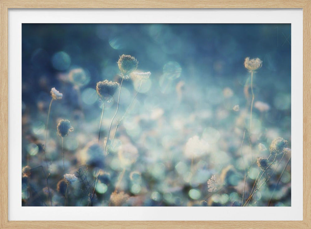 Timantit | Julisteet - Taidevedokset