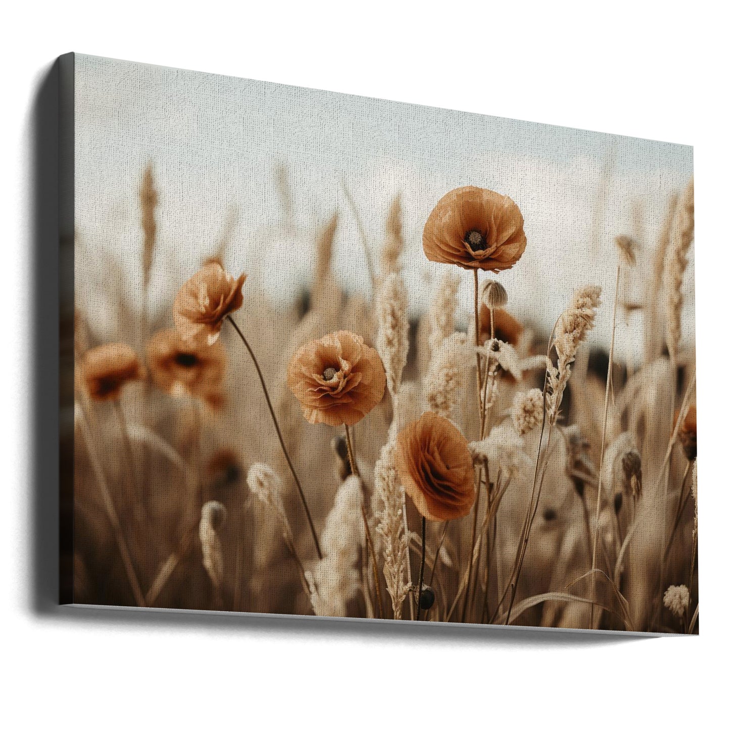 Champ de pavot orange | Tableaux sur Toile