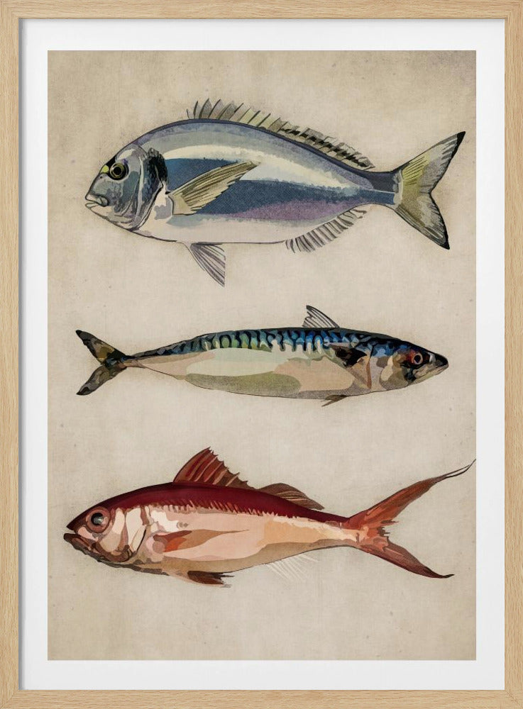 01 Deniz Baliklari Copy | Affisch