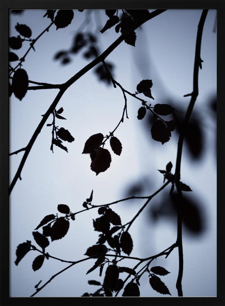 Gryningens gryning | Poster