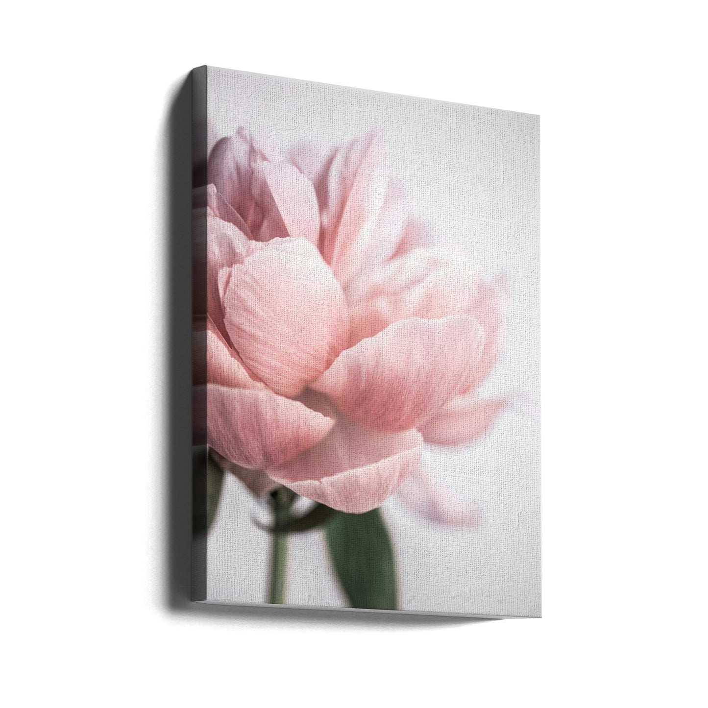 Pioni 3 | Canvastaulut