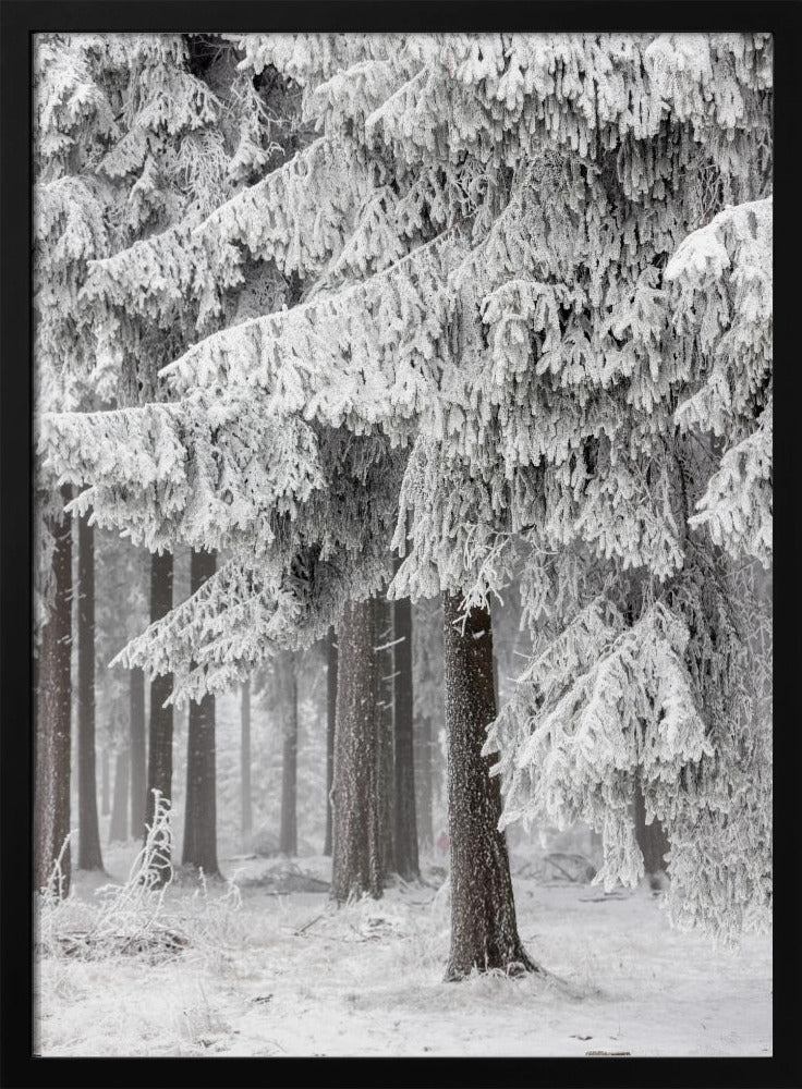 Winterwald 2 | Poster