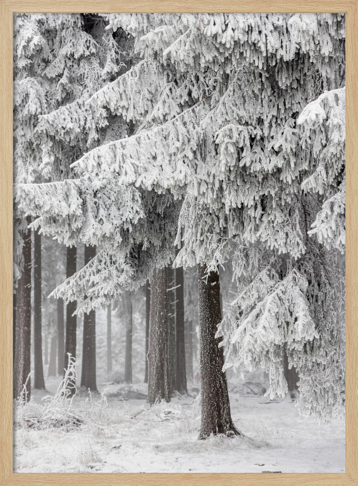 Winterwald 2 | Poster