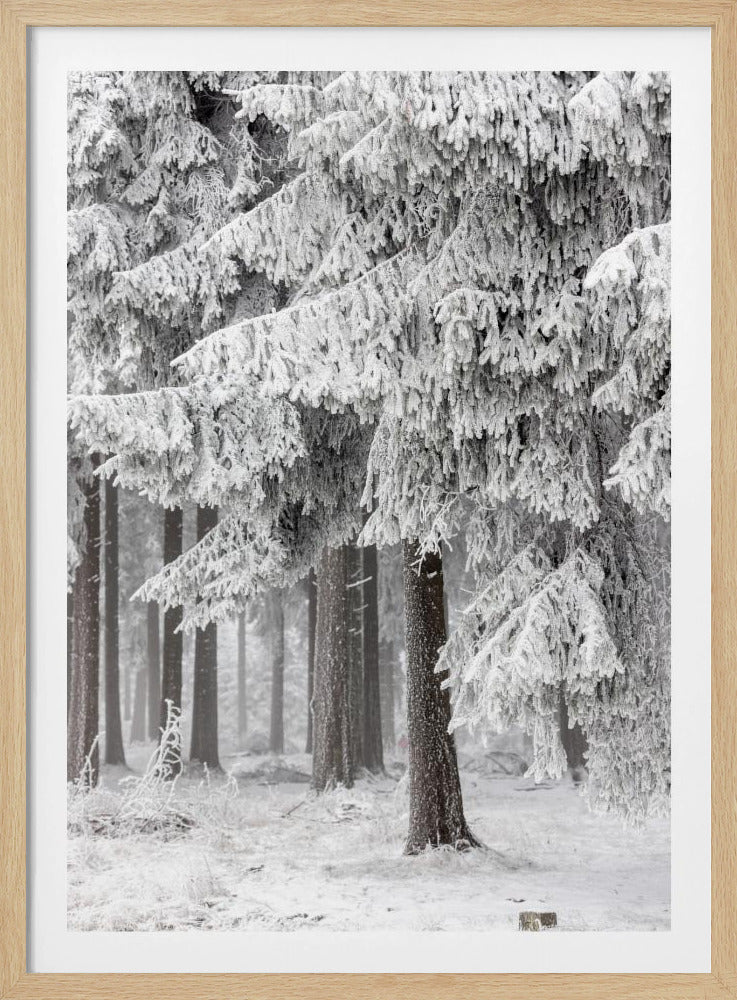 Winterwald 2 | Poster