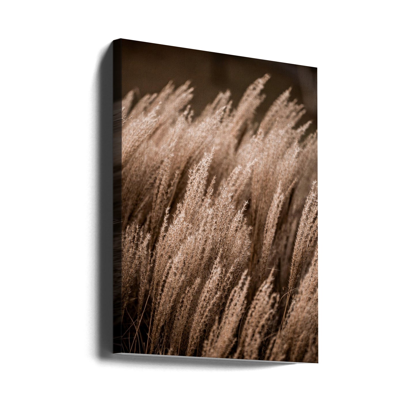 Ruoho 16 | Canvastaulut