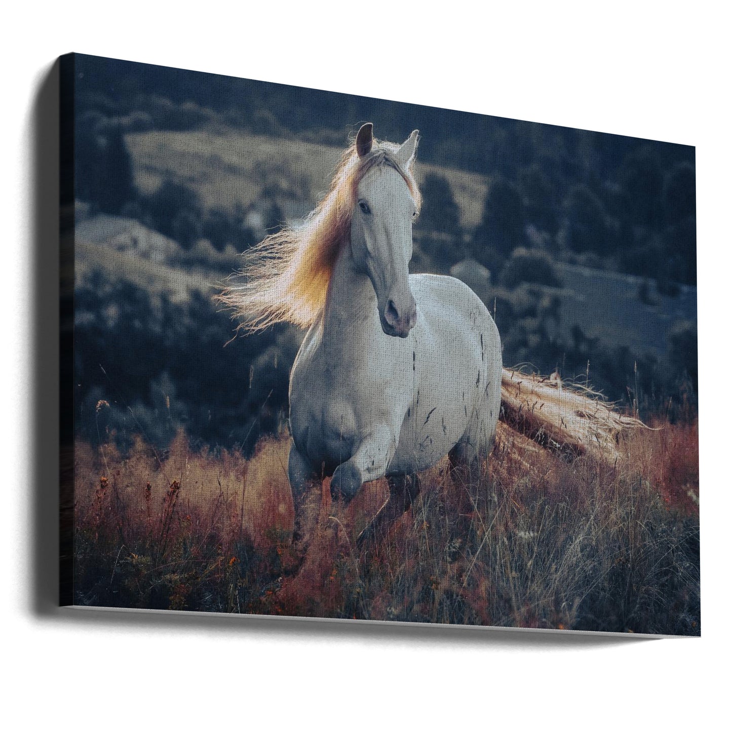 una historia corta sobre el amanecer | Impresiones en Lienzo