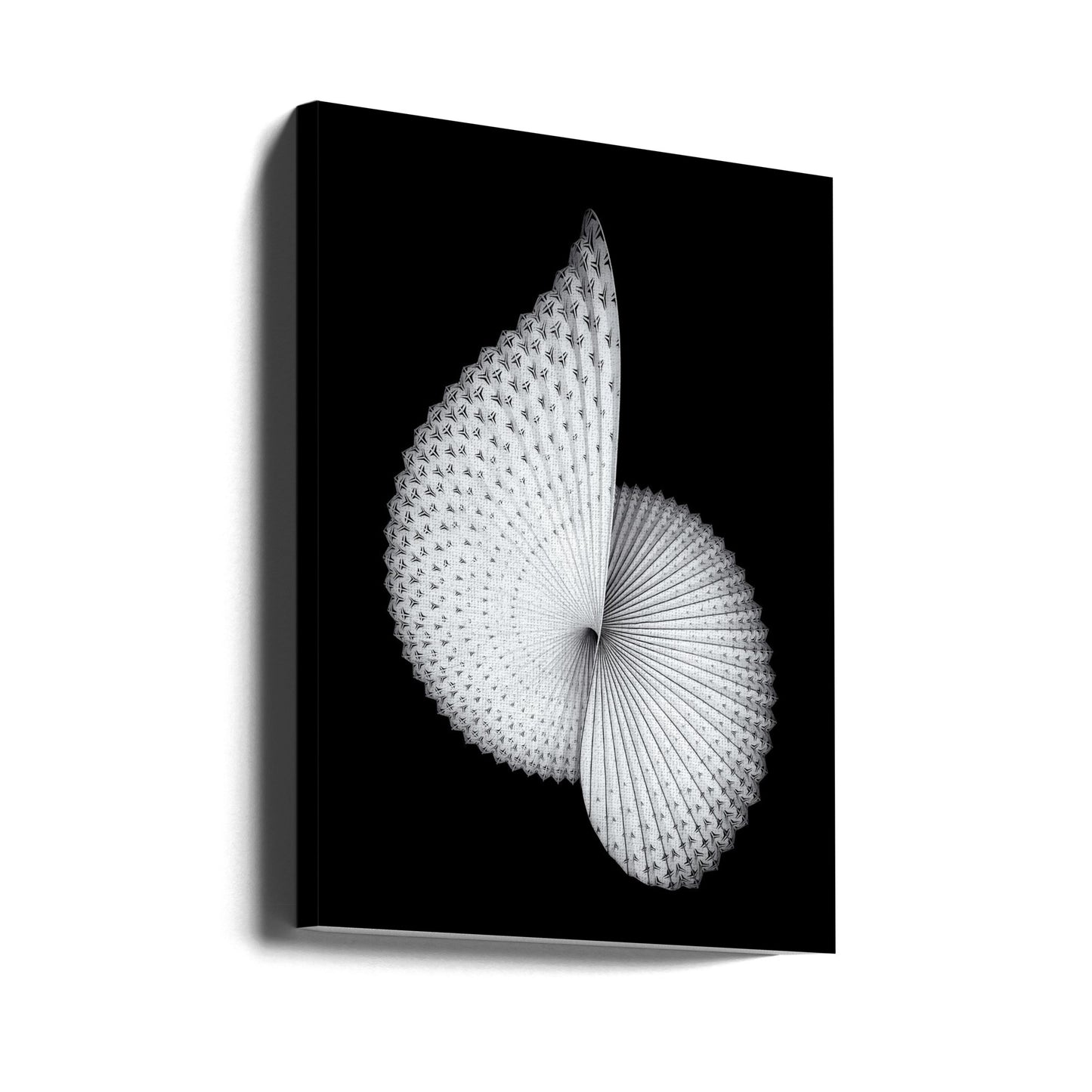 Nautilus-ähnliche Skulptur | Leinwand-Bilder