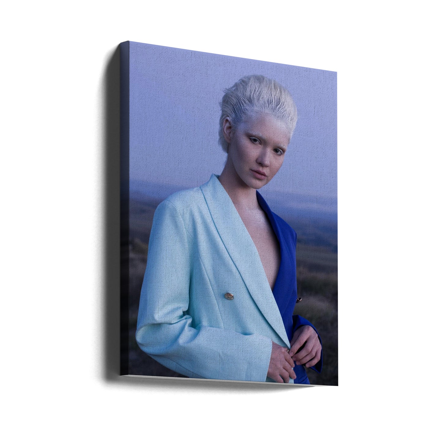 KRÓLOWA ŚNIEGU | Wydruki na łótnie