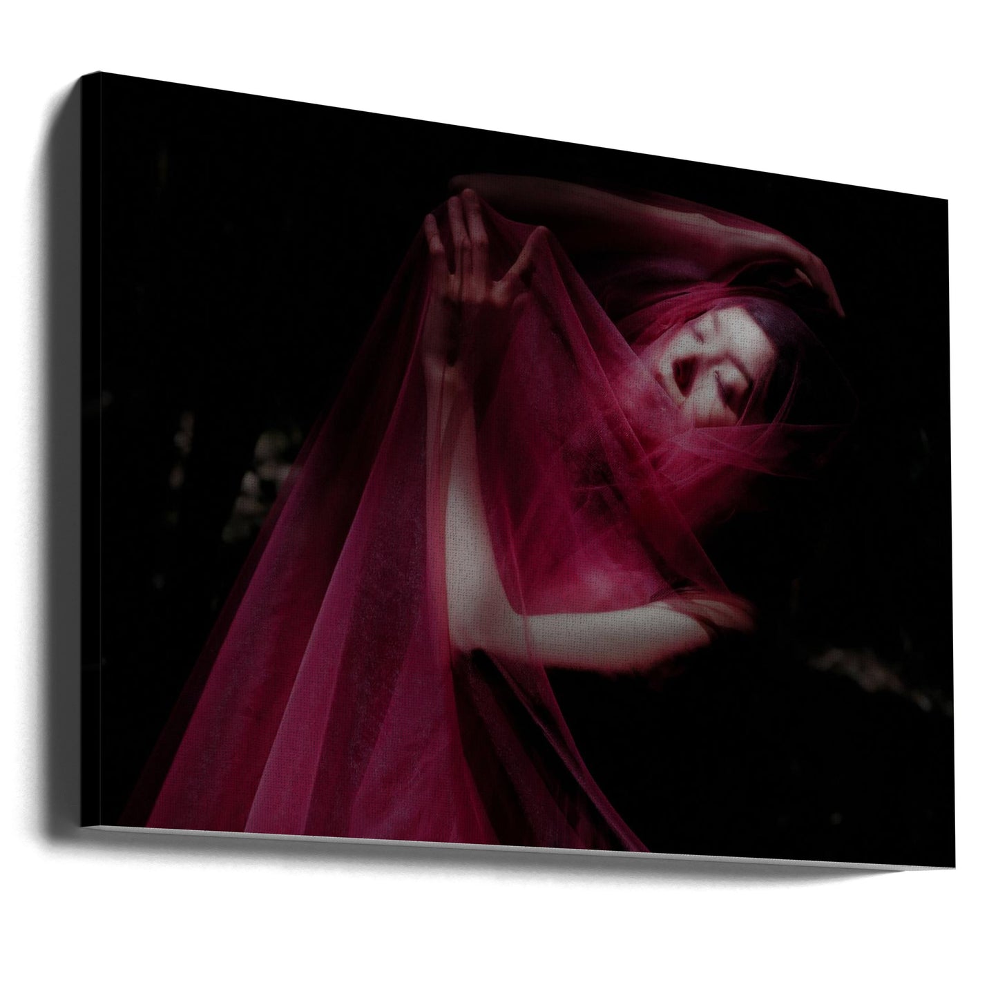 En el bosque | Impresiones en Lienzo