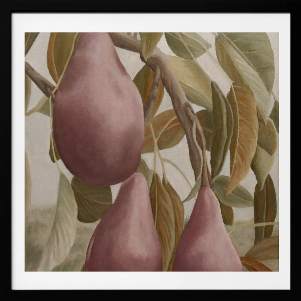 Pere Bartlett rosse Max | Poster - Stampe d’Arte