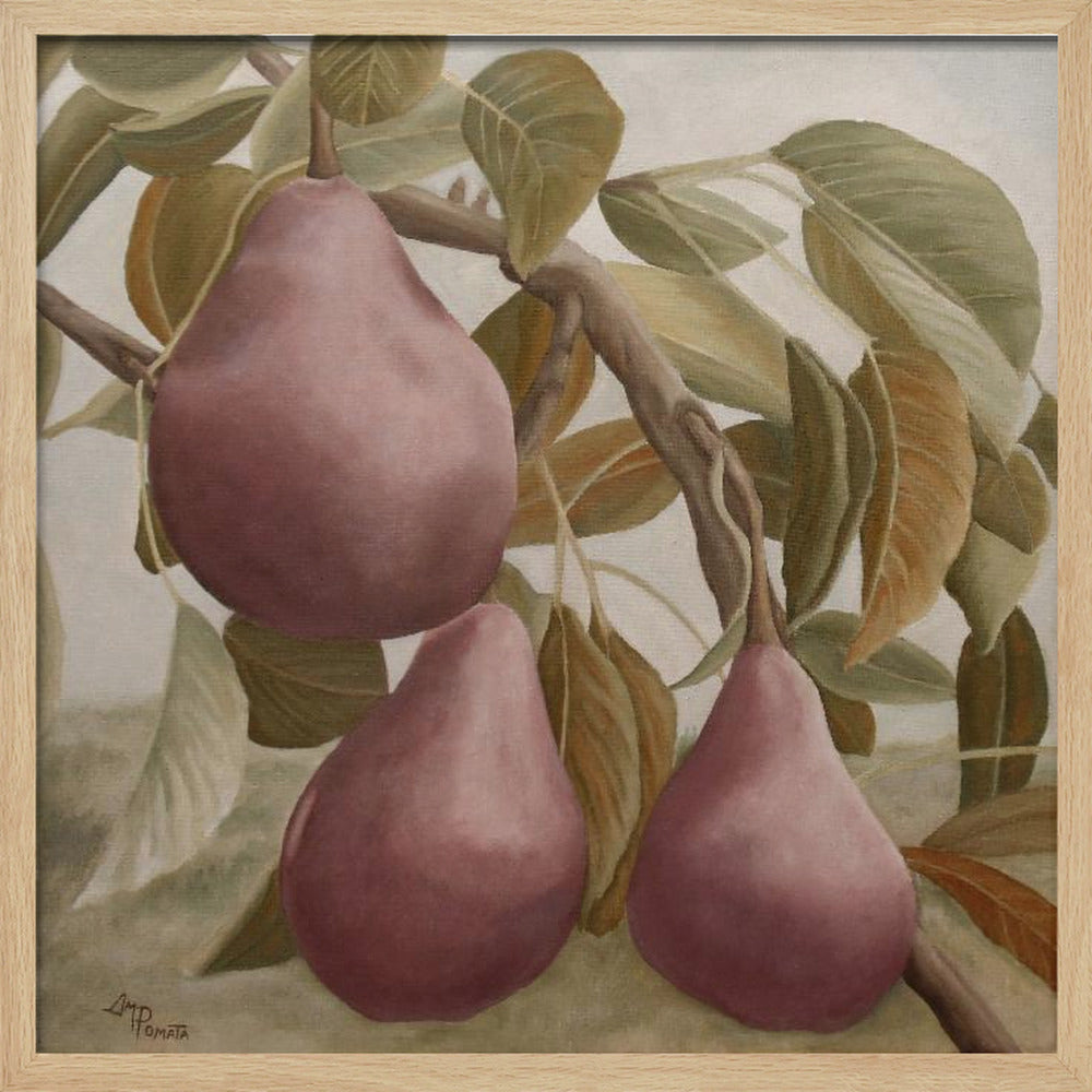 Pere Bartlett rosse Max | Poster - Stampe d’Arte