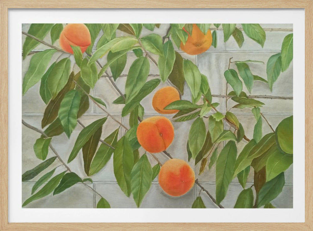 Persikat | Julisteet - Taidevedokset