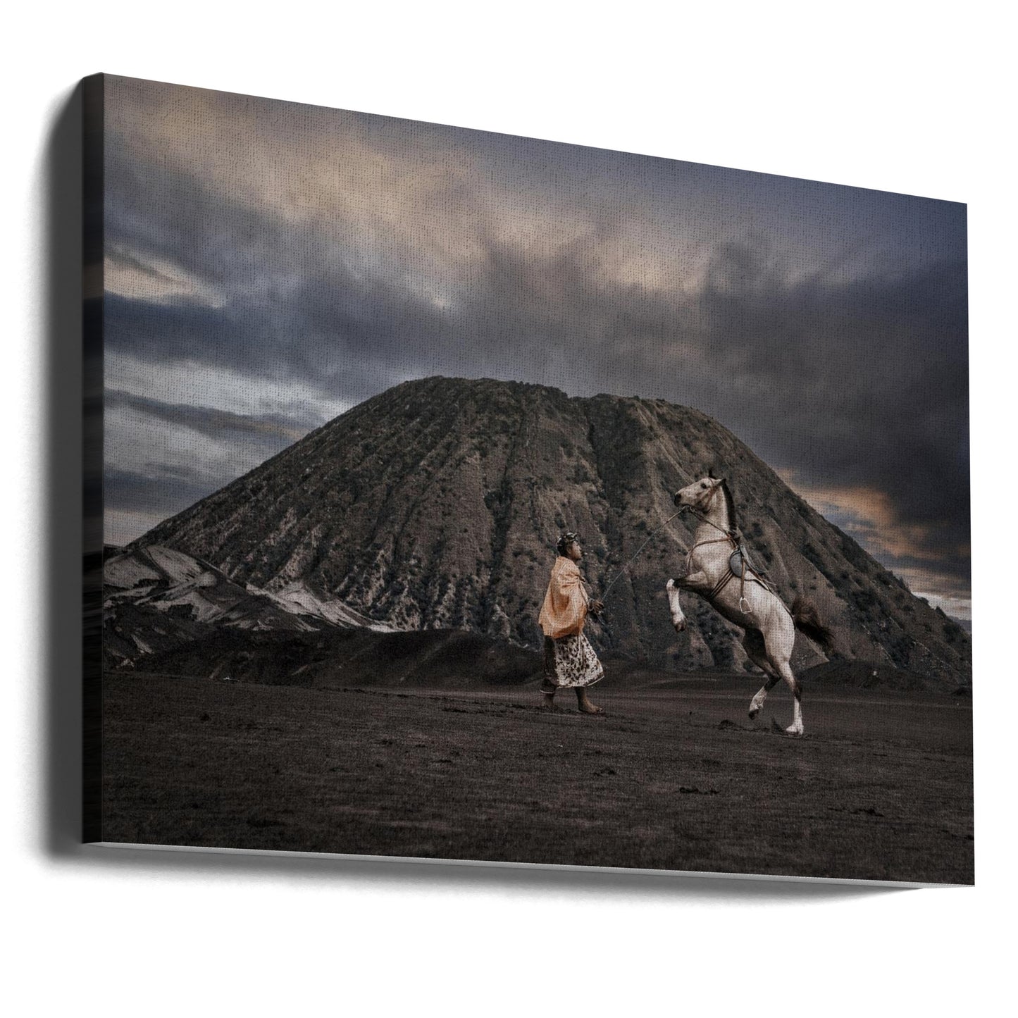 Tanssi kanssani | Canvastaulut