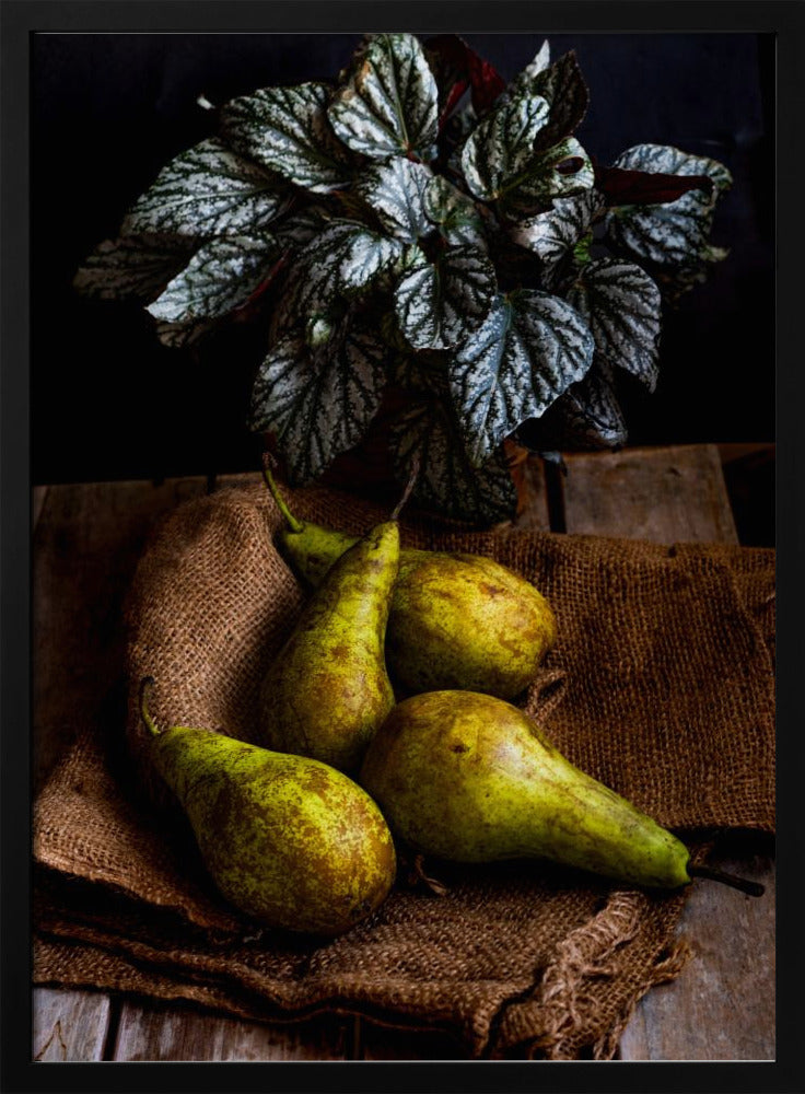 päärynät | Julisteet - Taidevedokset