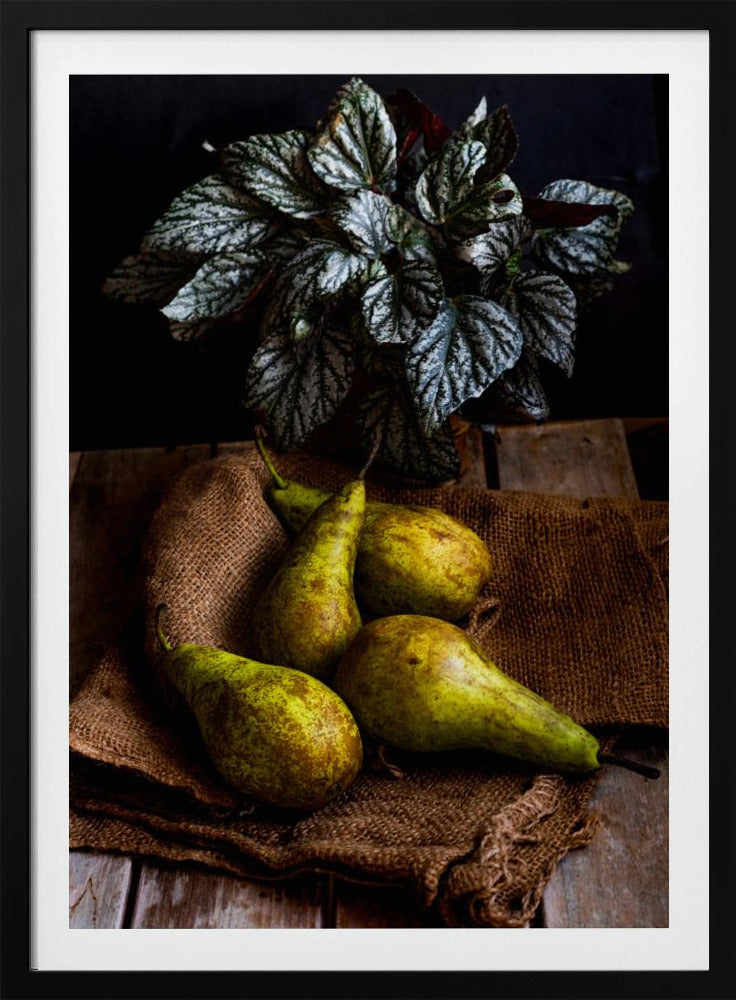 päärynät | Julisteet - Taidevedokset