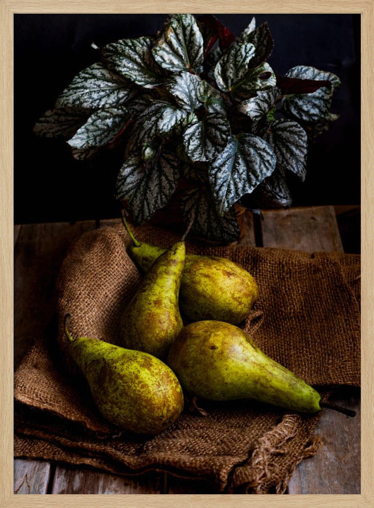 päärynät | Julisteet - Taidevedokset