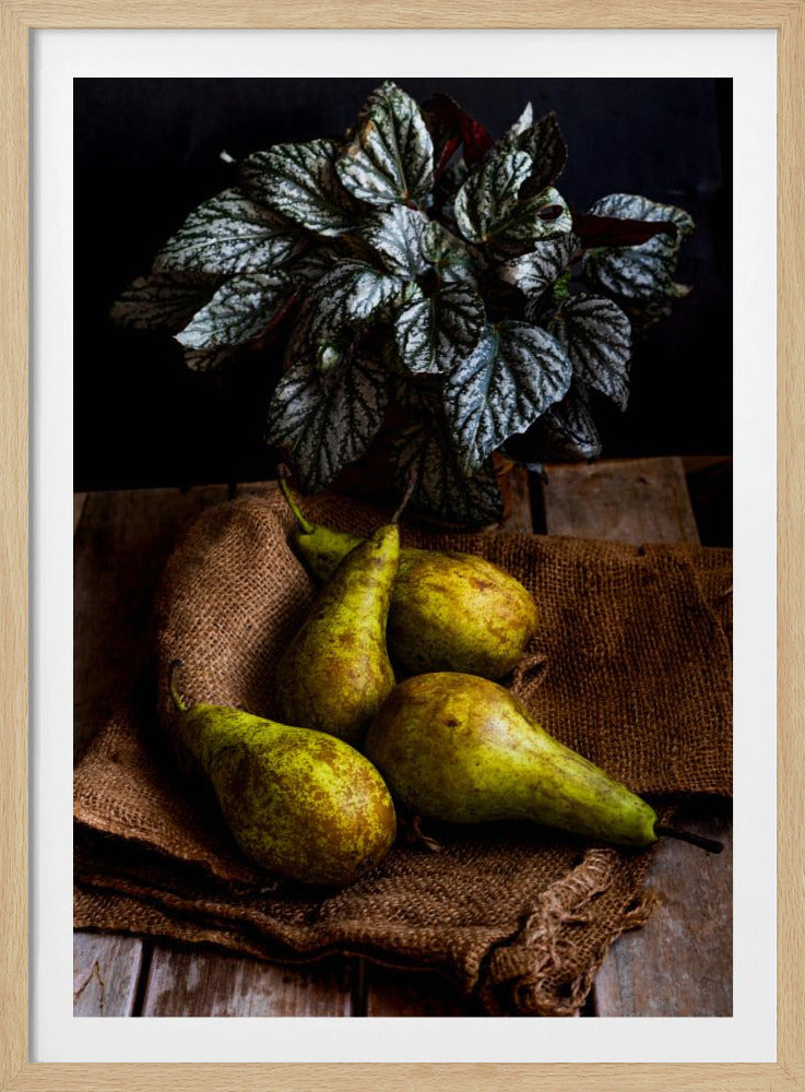 päärynät | Julisteet - Taidevedokset