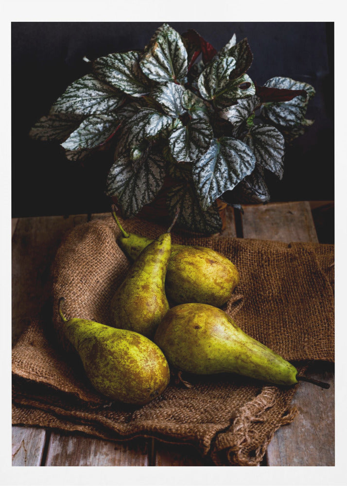 päärynät | Julisteet - Taidevedokset