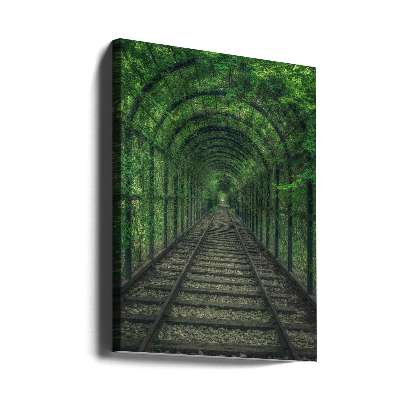 Vihreä tunneli | Canvastaulut