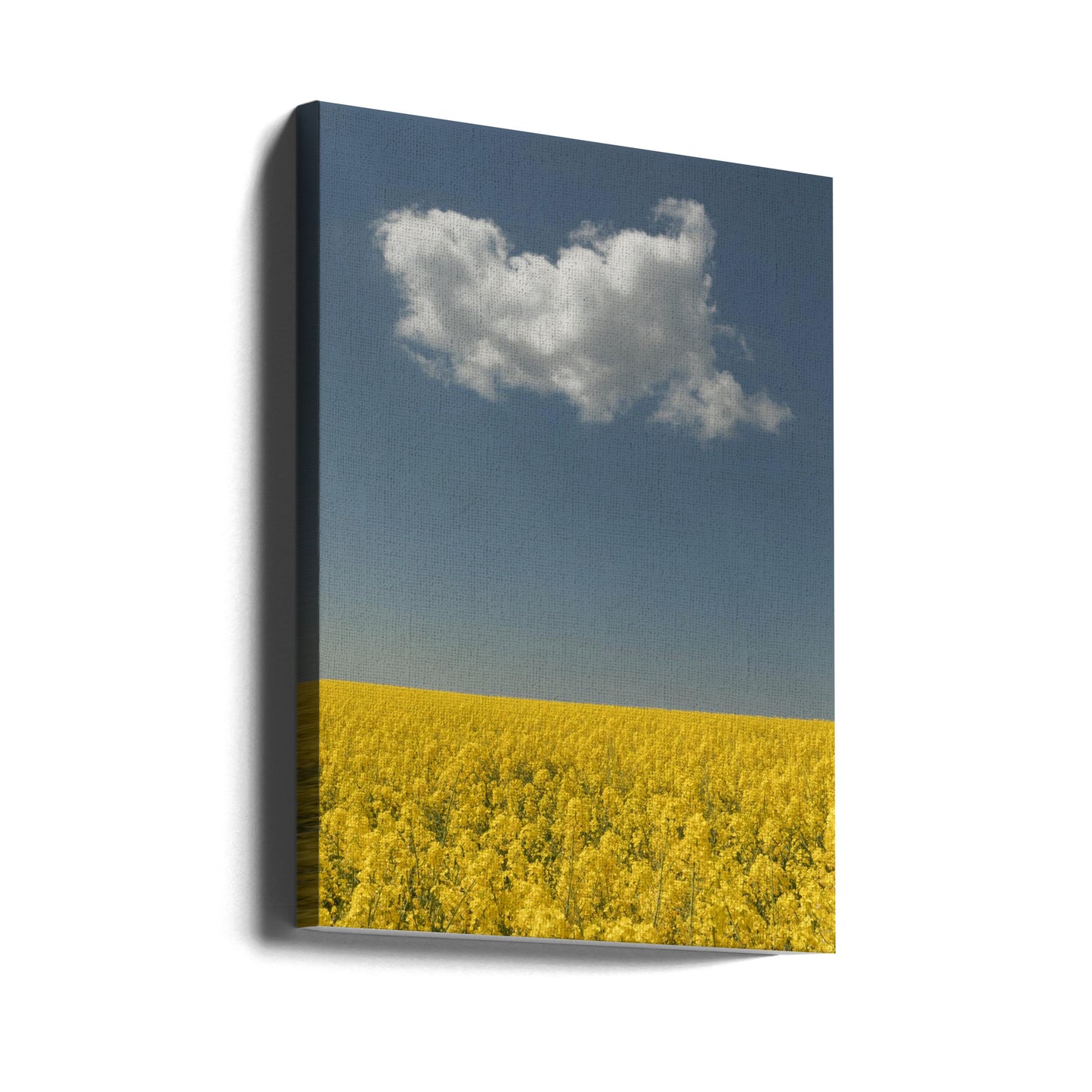 Vision | Tableaux sur Toile