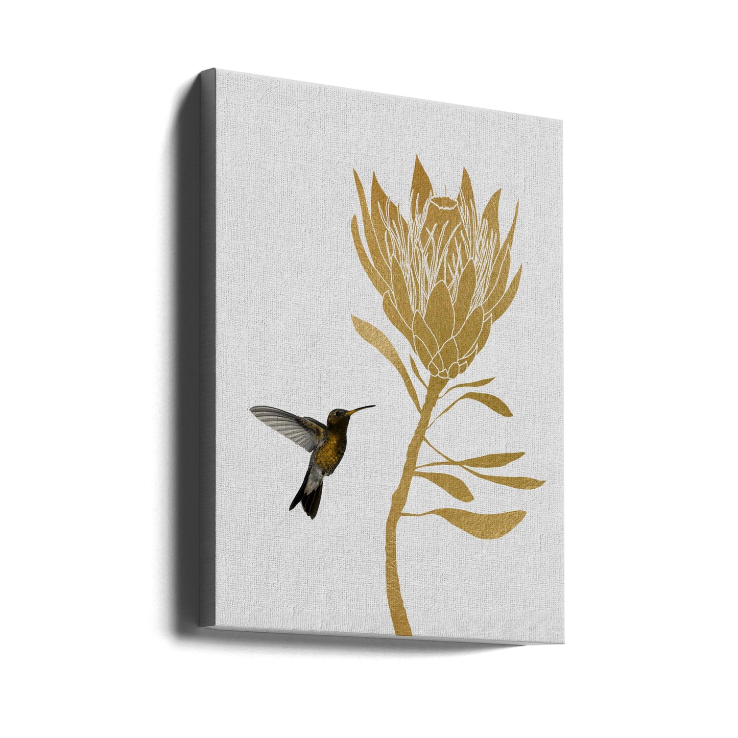 Hummingbird & Flower I | Canvas