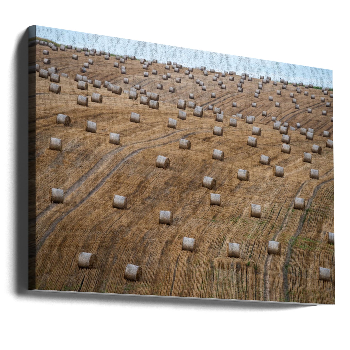 72 | Wydruki na łótnie