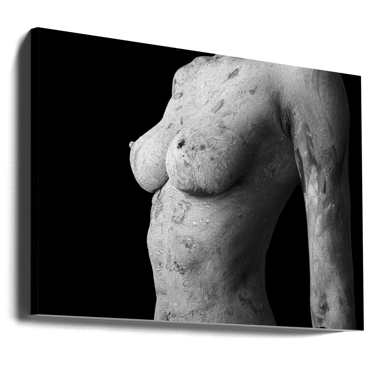 Belleza aberrante | Impresiones en Lienzo