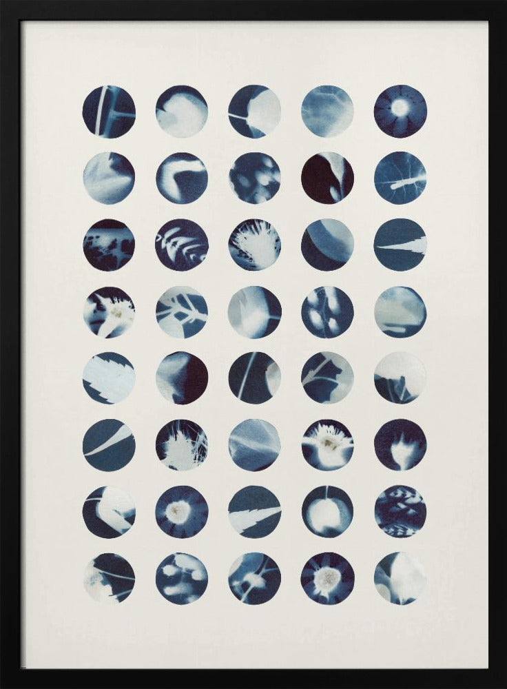 Botanische Cyanotypien | Poster