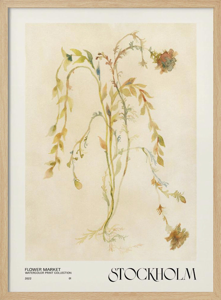 Aquarelldrucksammlung. Blumenmarkt – Stockholm | Poster