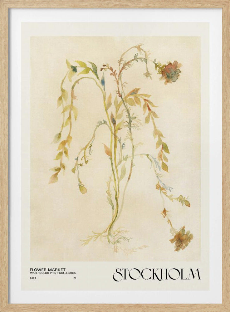 Aquarelldrucksammlung. Blumenmarkt – Stockholm | Poster