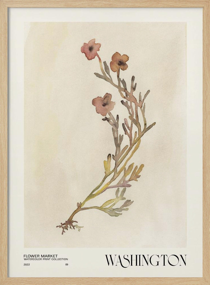 Aquarelldruck-Sammlung. Blumenmarkt – Washington | Poster