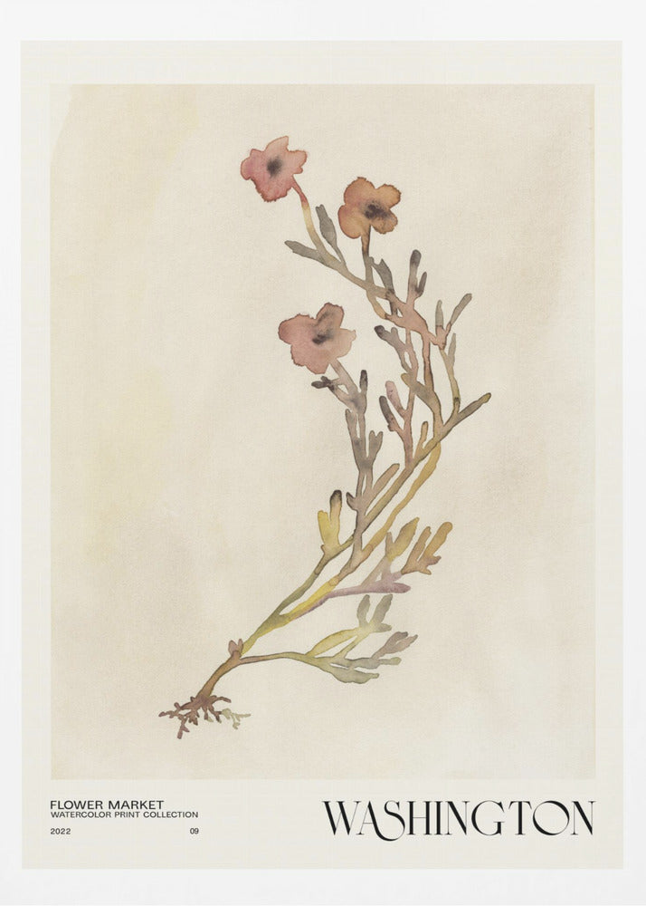 Aquarelldruck-Sammlung. Blumenmarkt – Washington | Poster