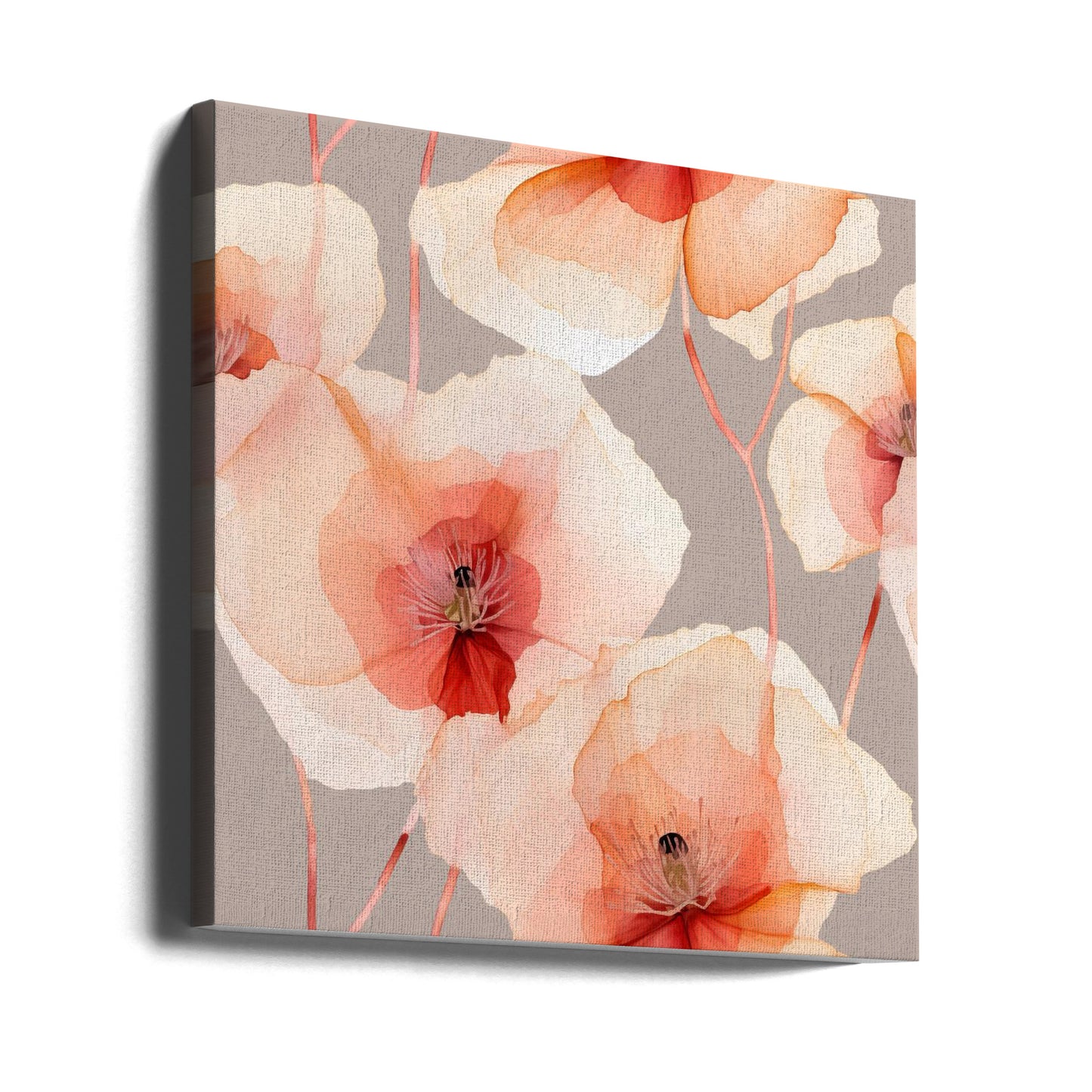 Sf 4 Transparent Fl 1 Grau | Leinwand-Bilder