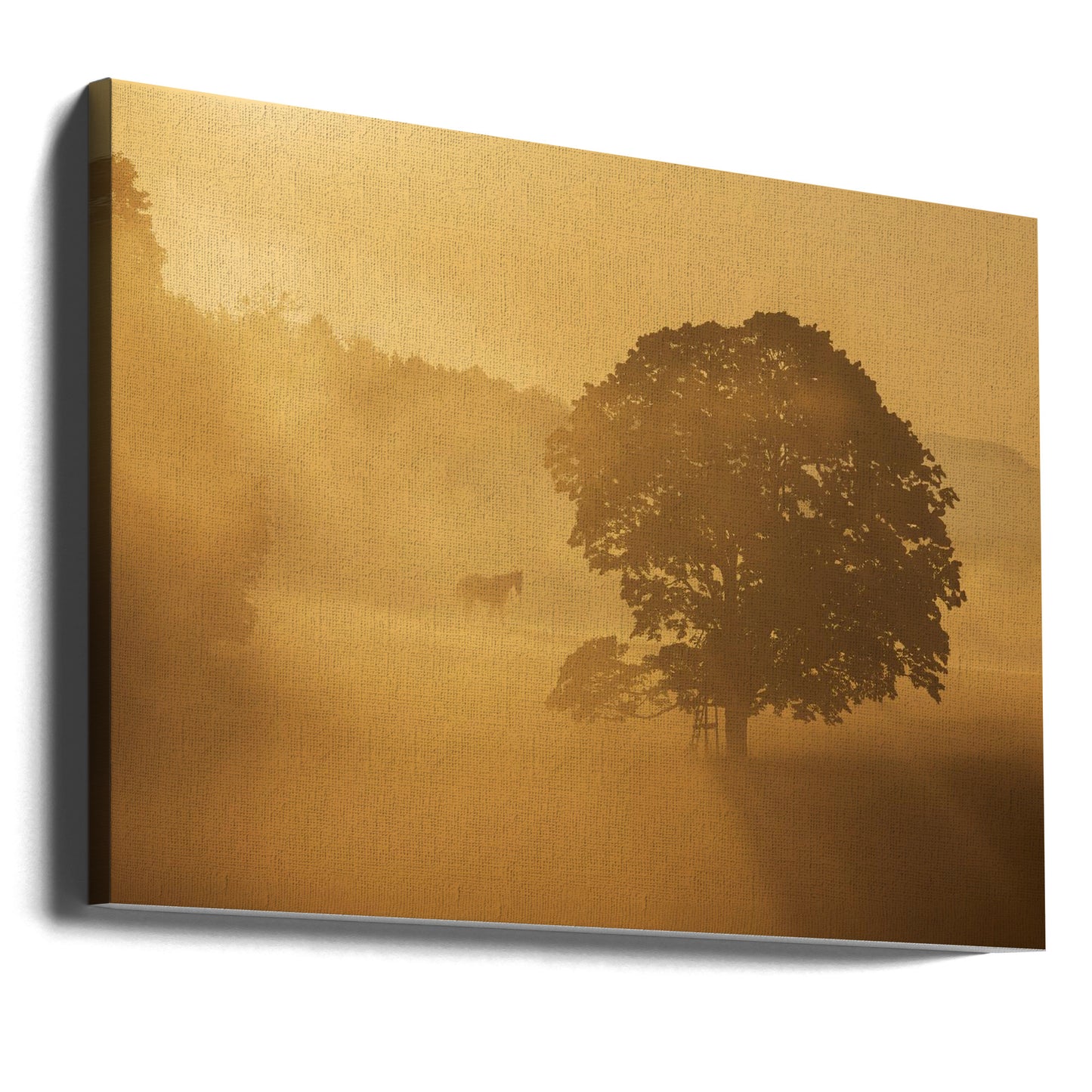 mañana de otoño | Impresiones en Lienzo