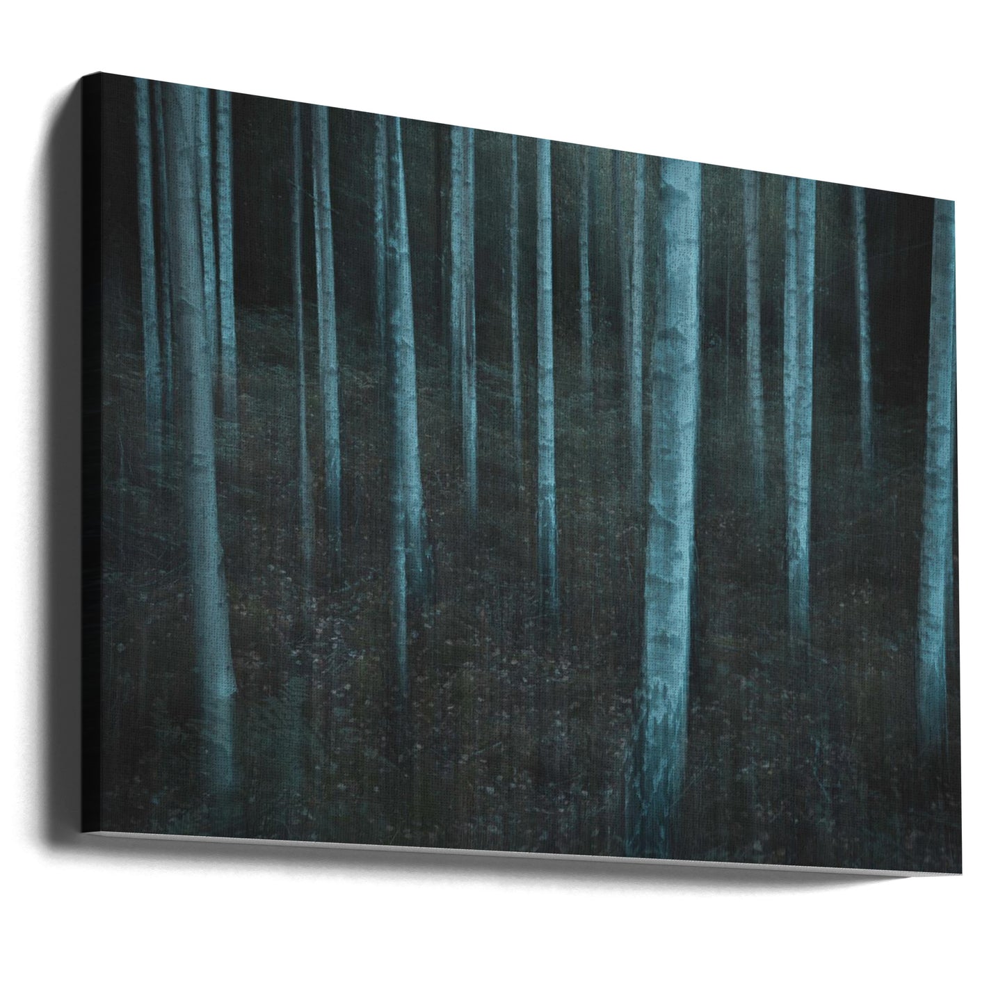 ICM v3 | Leinwand-Bilder