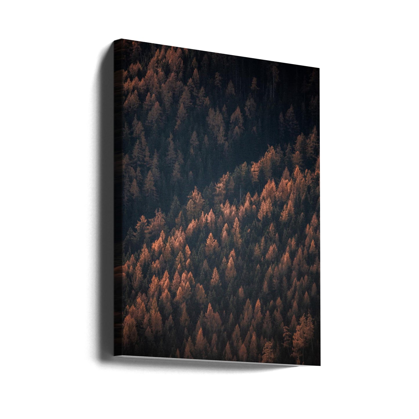 Höstskogen 2 | Canvas