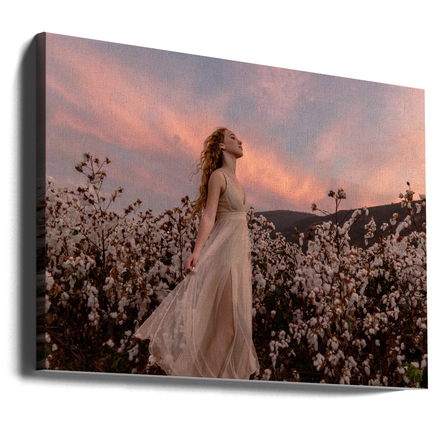 Sonnenuntergang im Baumwollfeld | Leinwand-Bilder