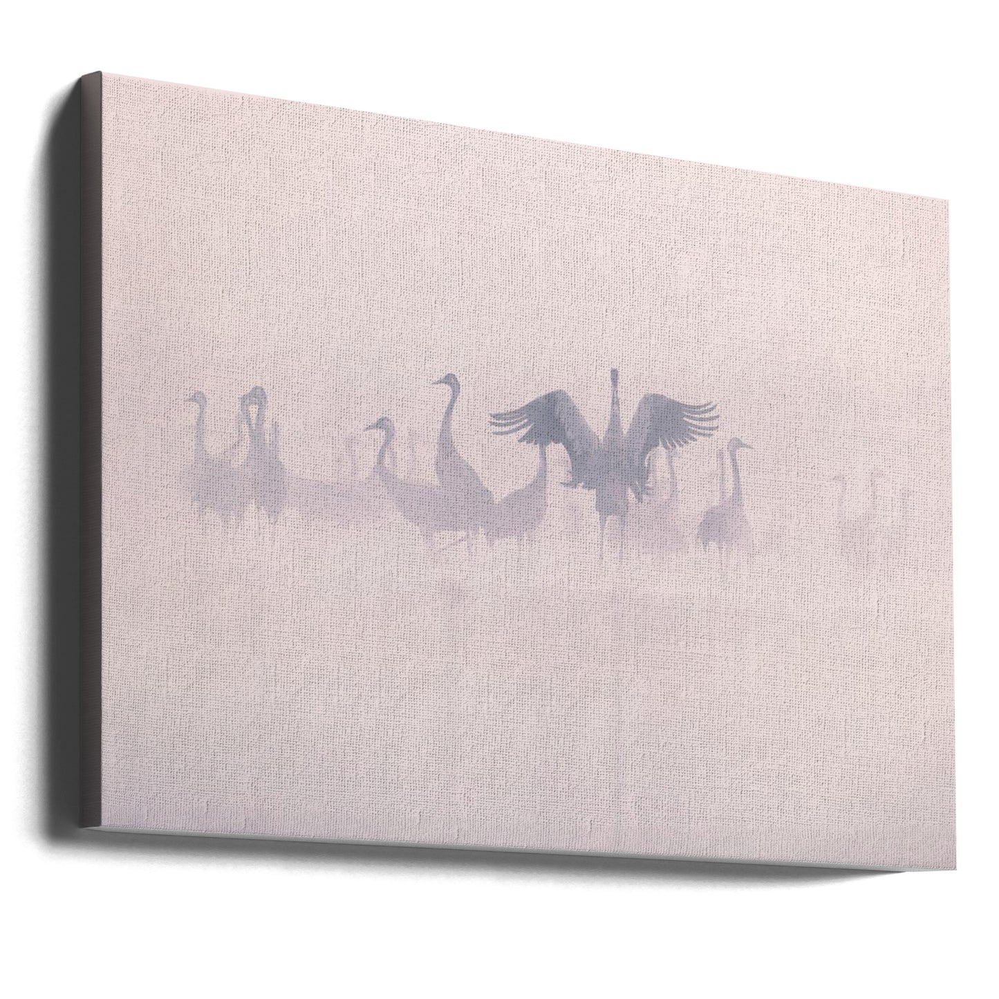 Grullas comunes en la niebla de la mañana | Impresiones en Lienzo