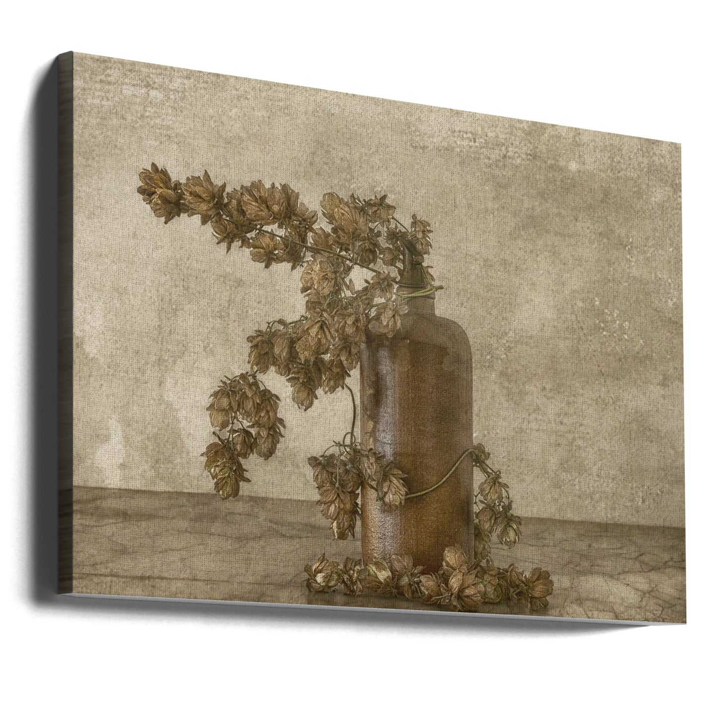 Lúpulo común 2 | Impresiones en Lienzo