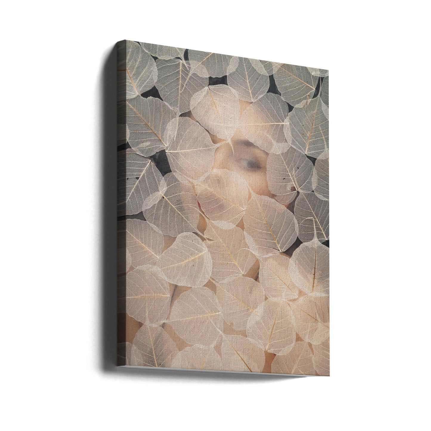 ZA SZKŁEM | Wydruki na łótnie