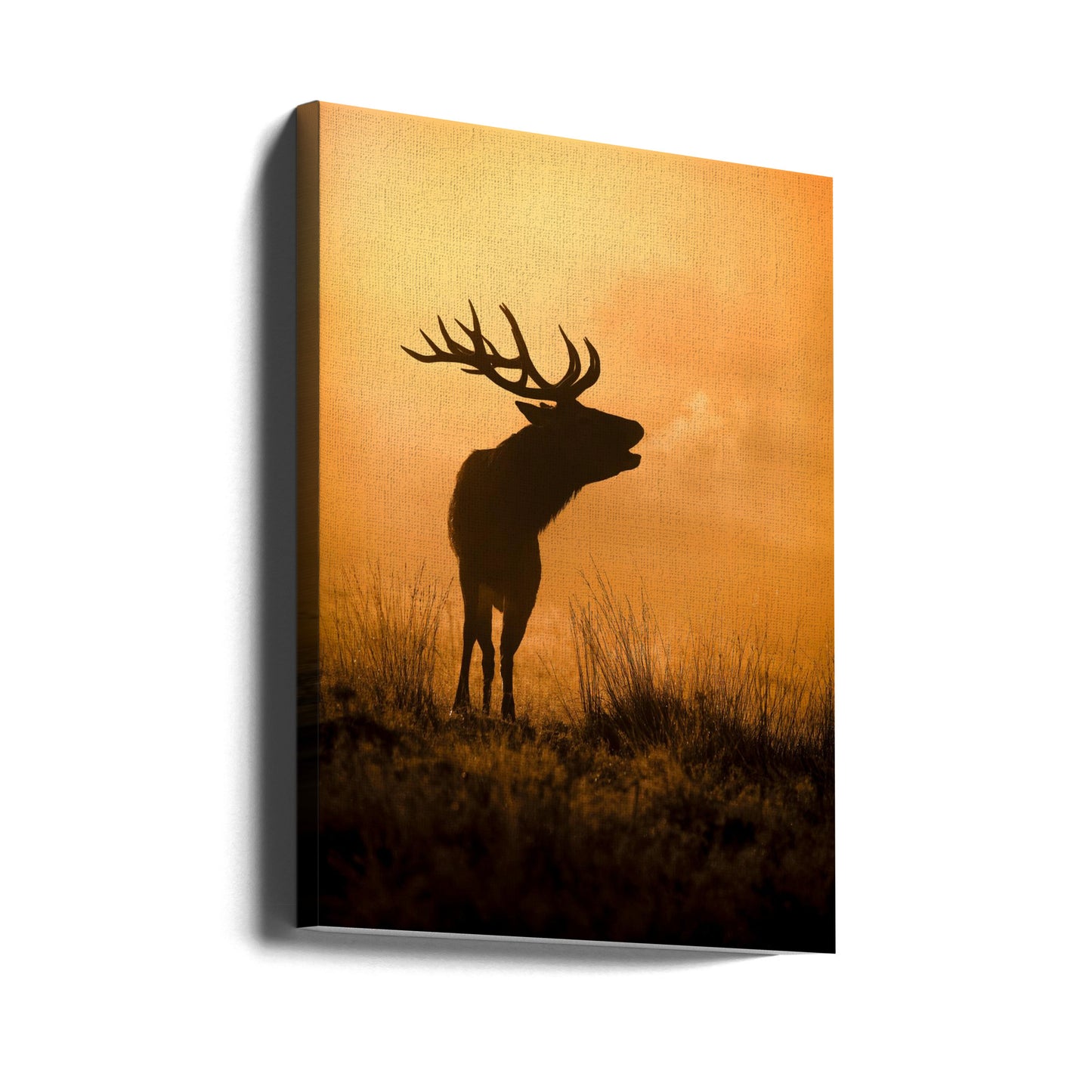 Aamupuhelu | Canvastaulut