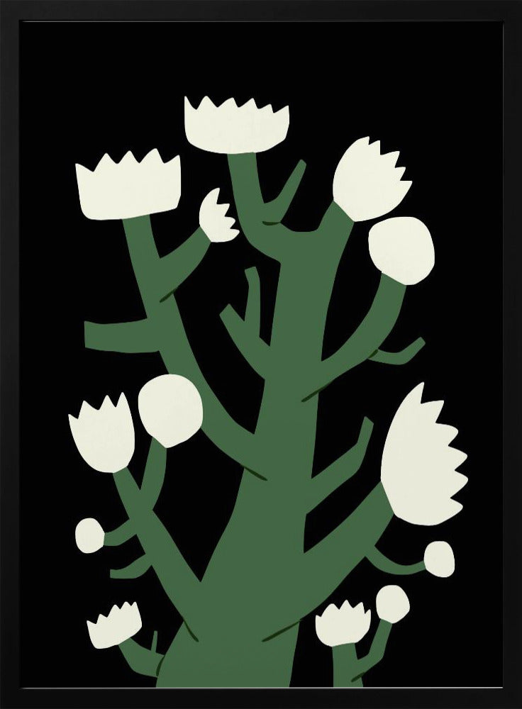 Nächtliche weiße Blüte | Poster