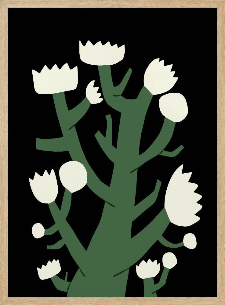 Nächtliche weiße Blüte | Poster