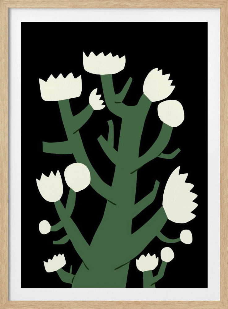 Nächtliche weiße Blüte | Poster