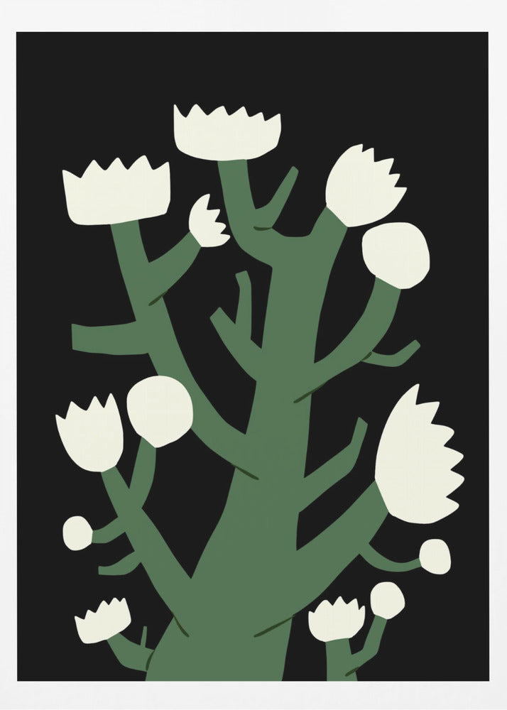 Nächtliche weiße Blüte | Poster