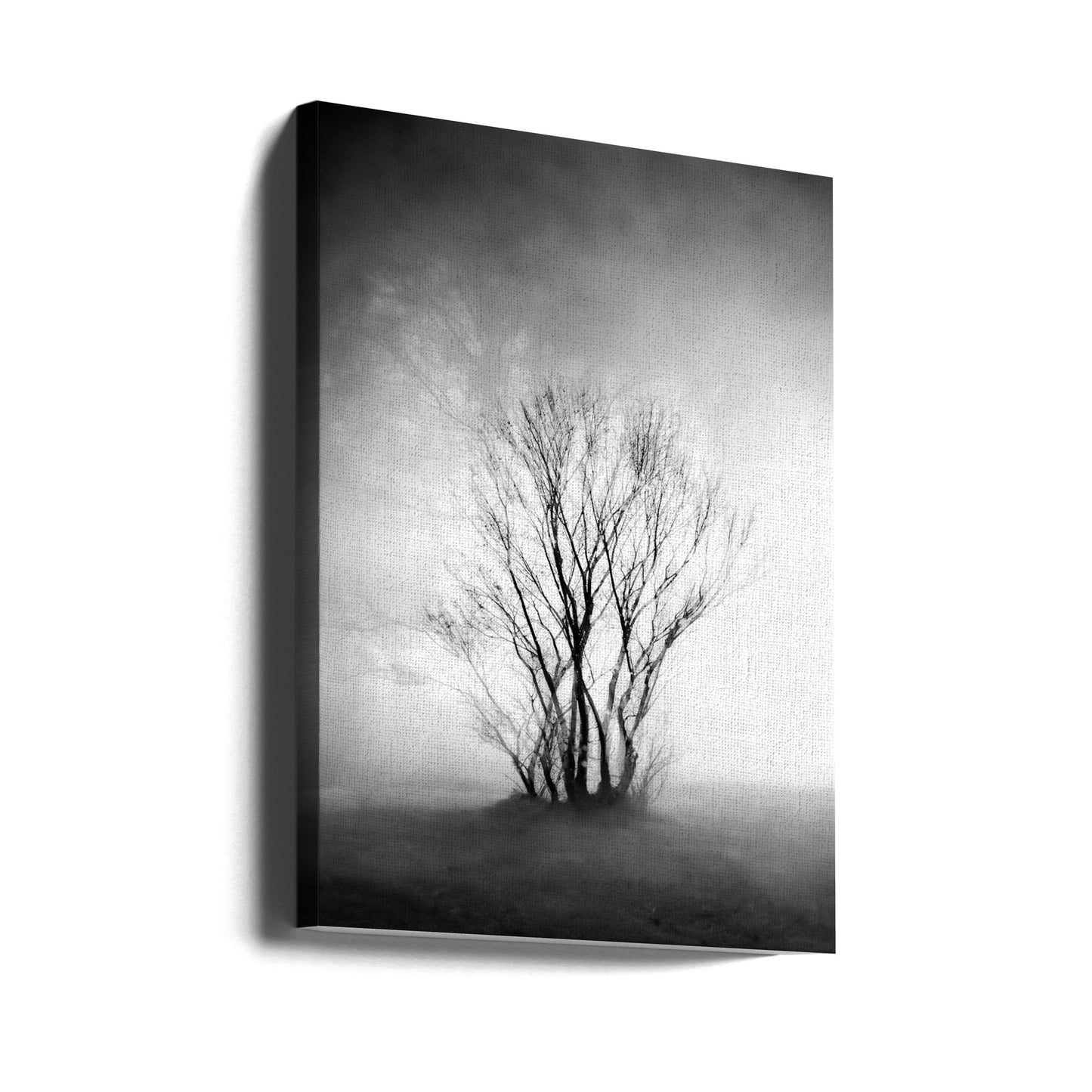naked | Canvas