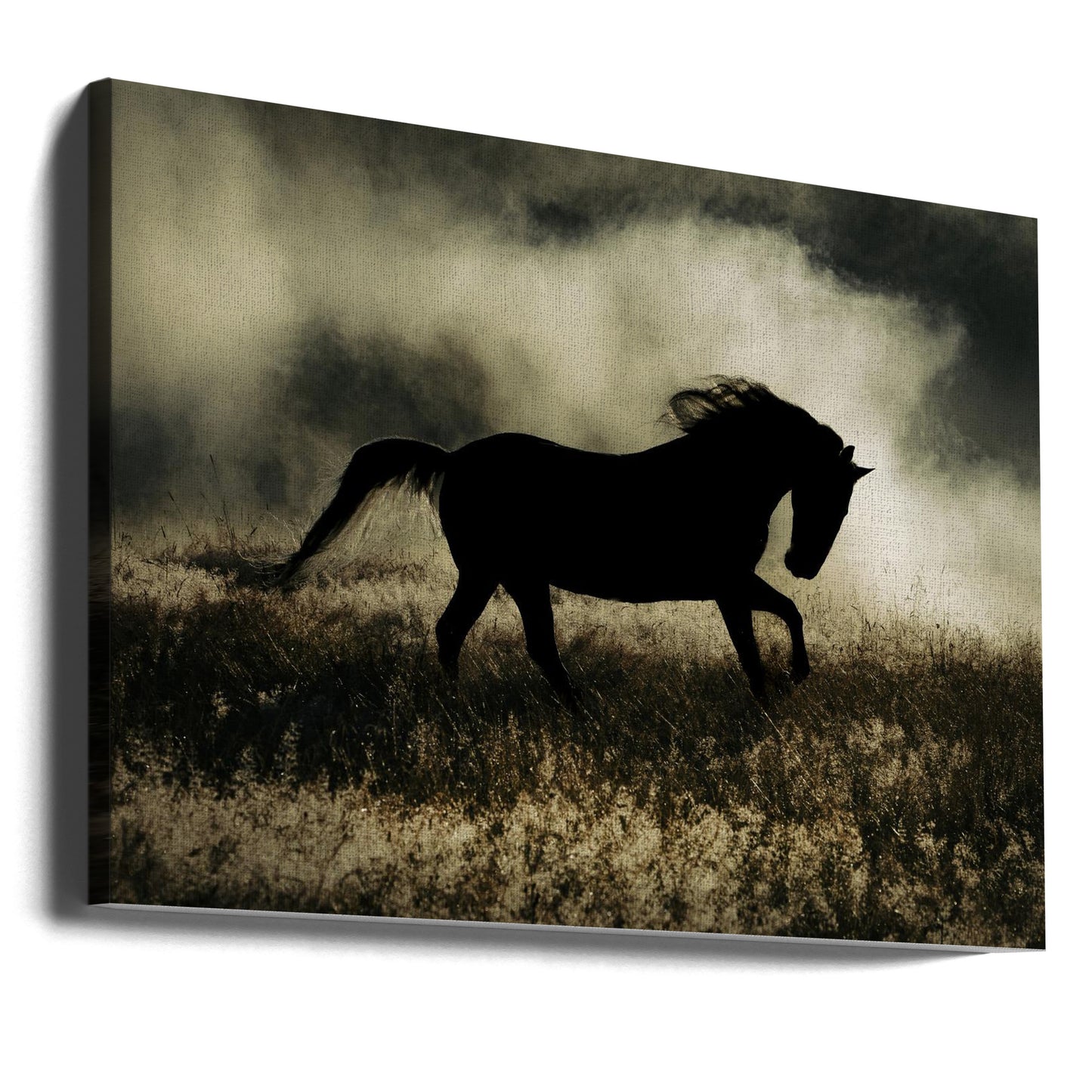 a short story about the morning glory | Canvas